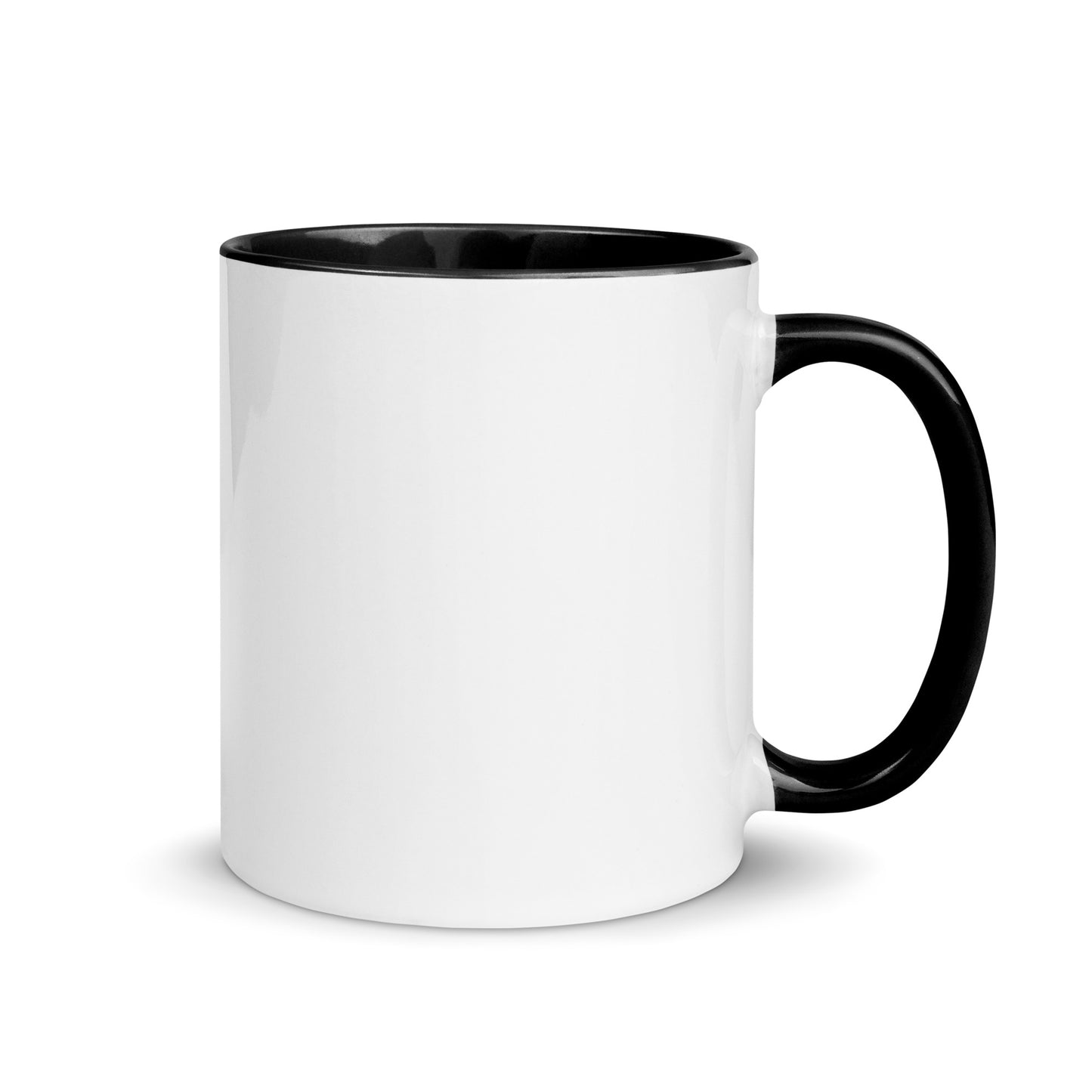 The US Prison System Sux Mug