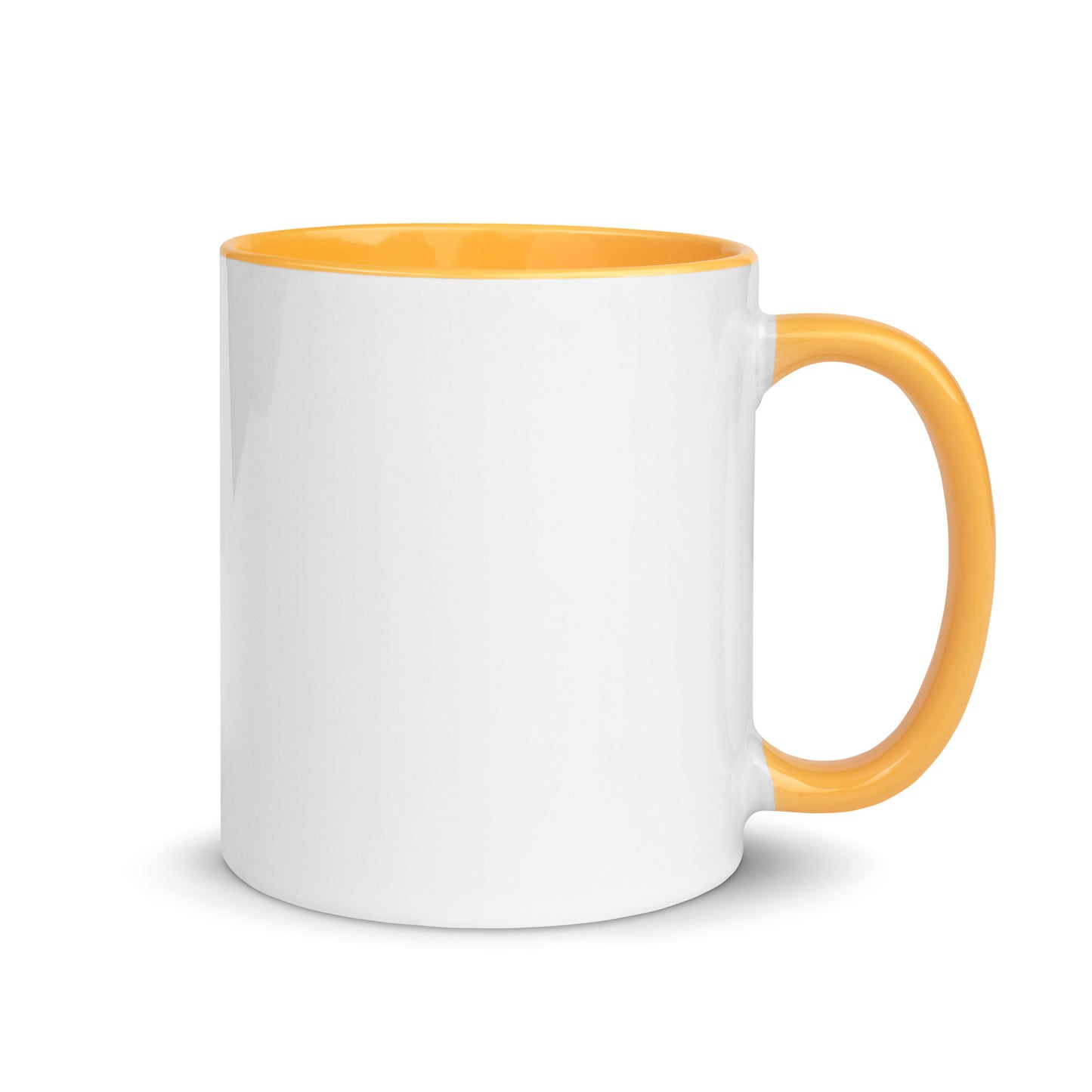 The US Prison System Sux Mug