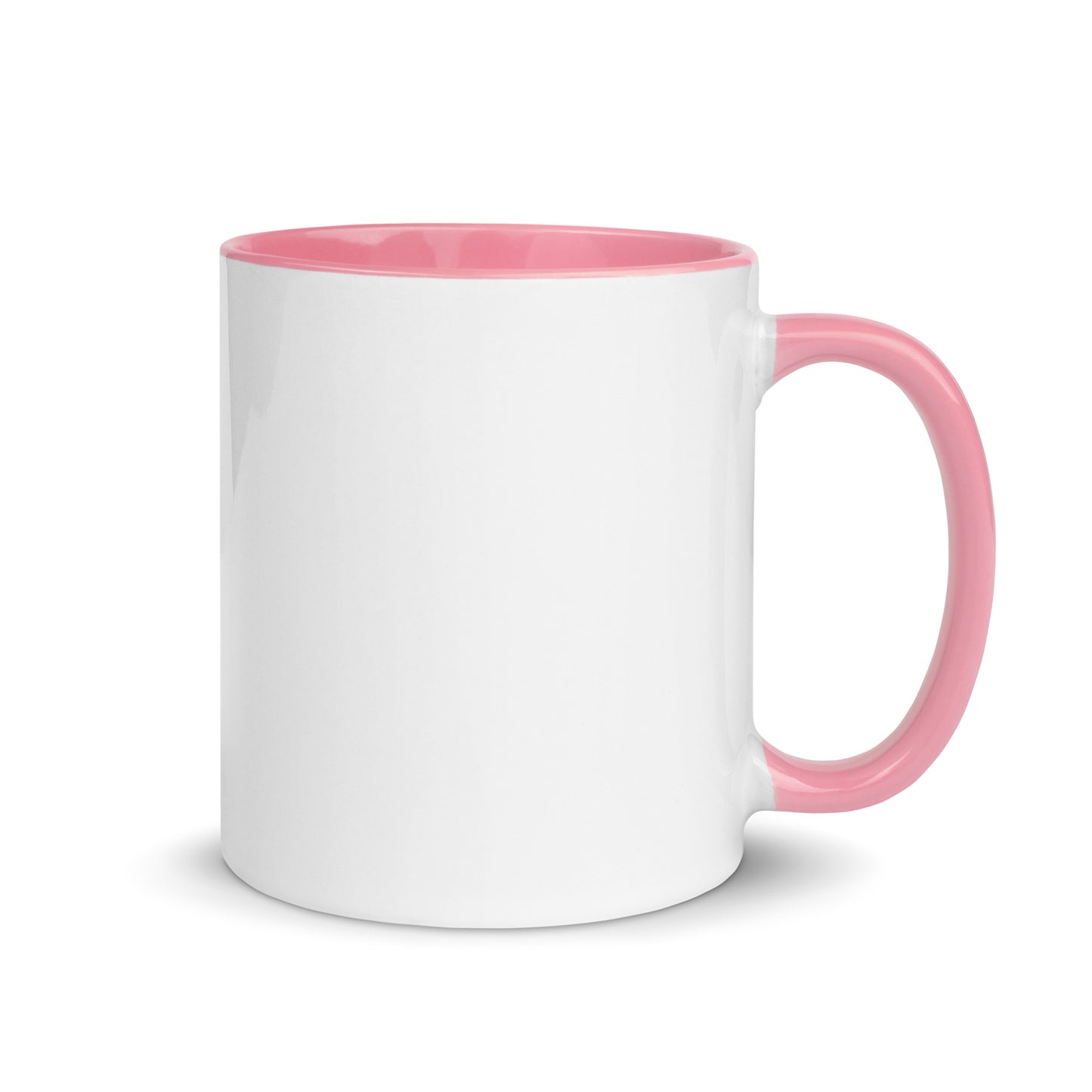 The US Prison System Sux Mug