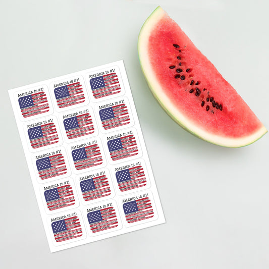 America is #1 Sticker sheet (15)